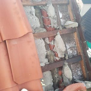 Service & Wartung