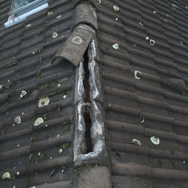 Naturgewalten 