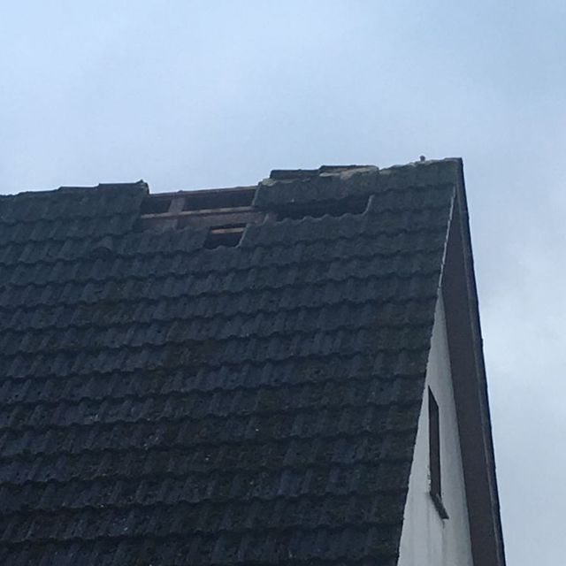 Sturmschadenbeseitigung